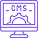 CMS Development Icon